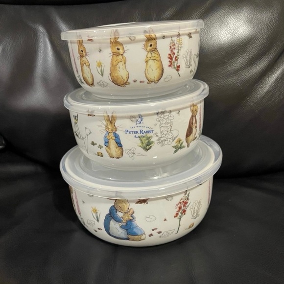 Beatrix Potter Peter Rabbit Storage Bowl, large - Picture 9 of 12